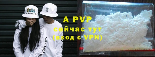гашик Надым