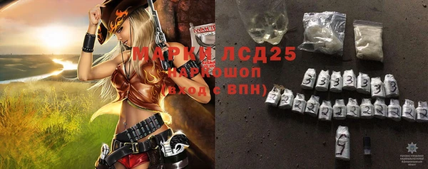 гашик Надым