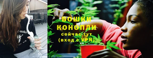 гашик Надым