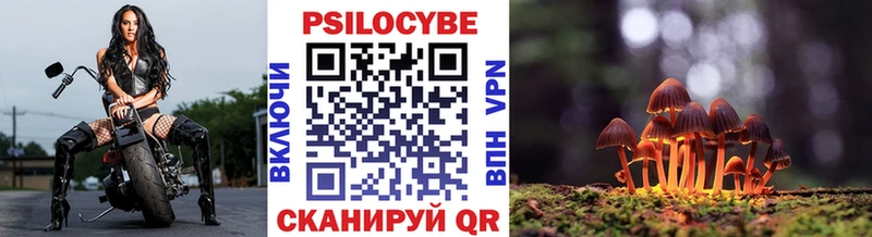 Галлюциногенные грибы Cubensis  купить наркотики цена  Починок 